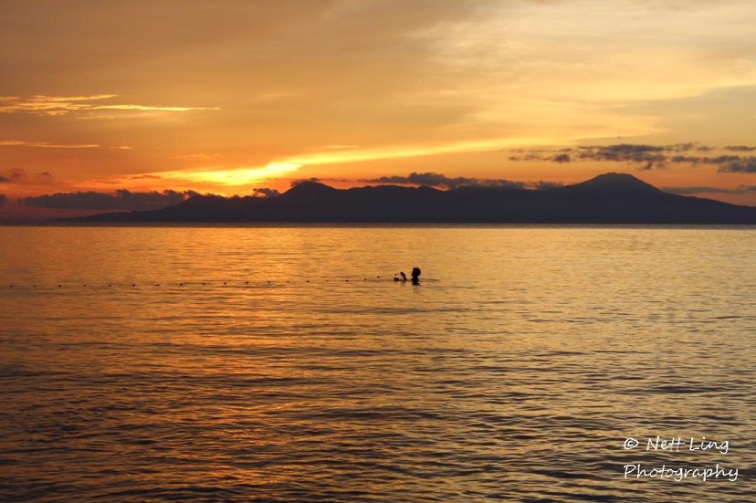 woman setting out net